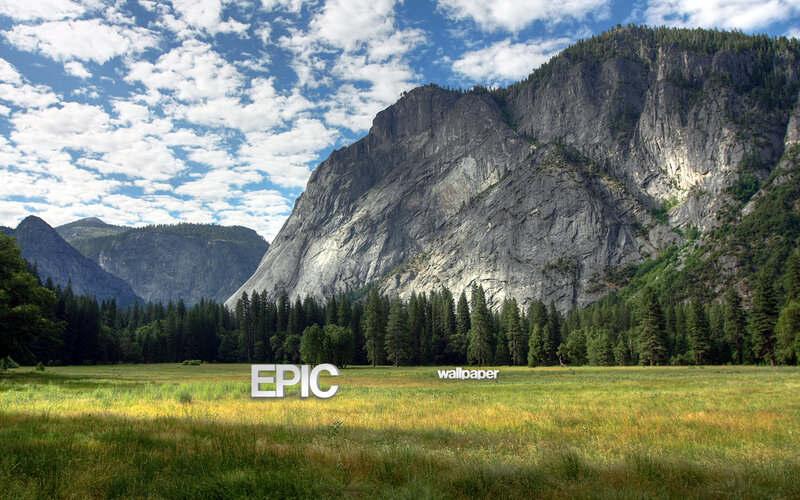 Yosemite Valley landscape