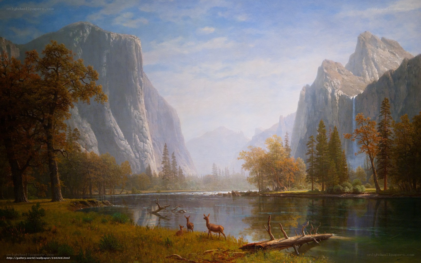 Yosemite Valley landscape