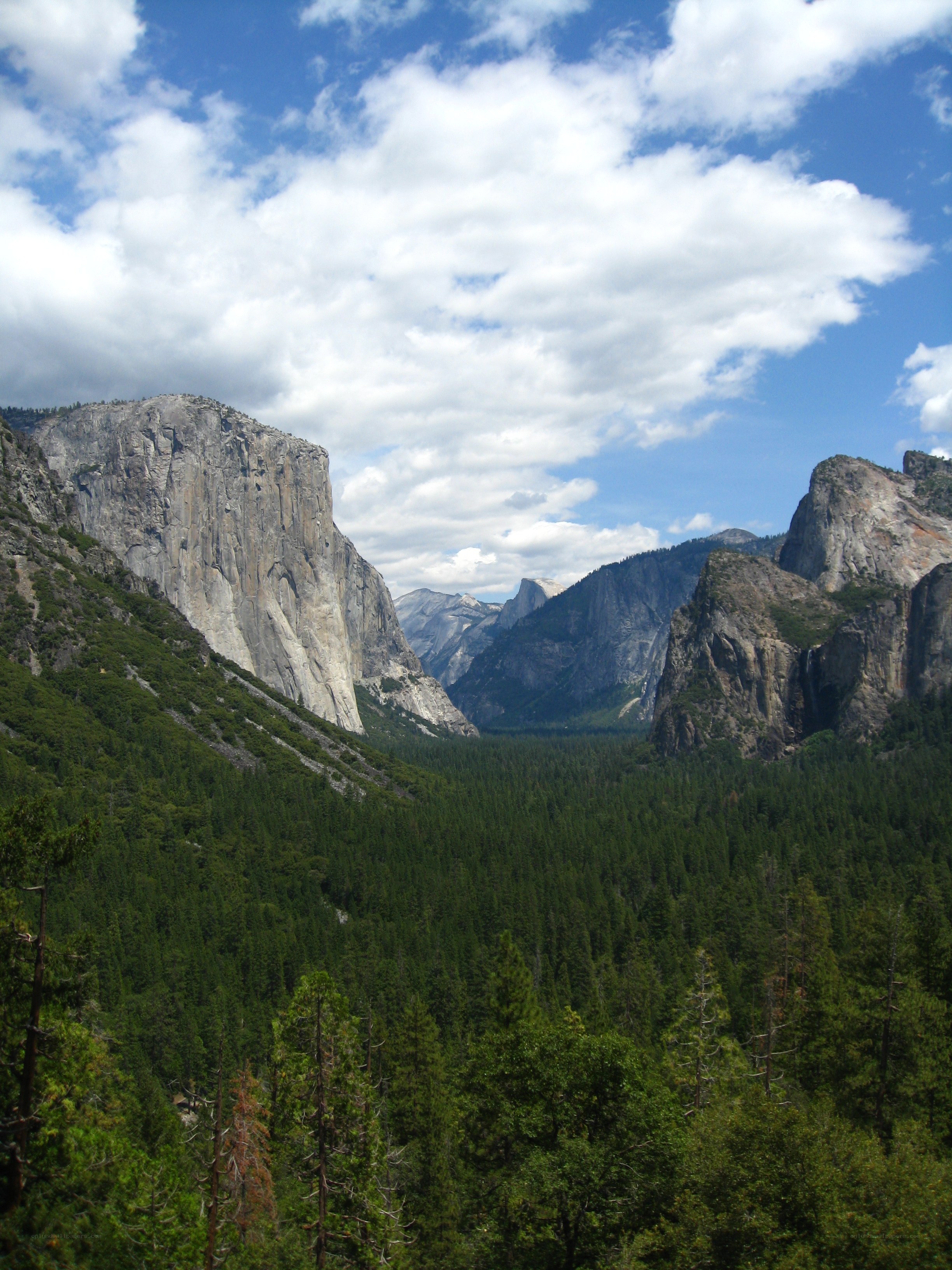 Yosemite Valley landscape