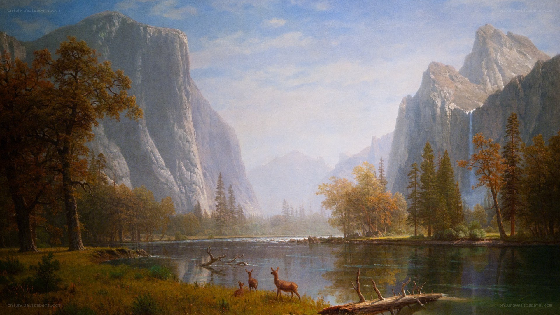 Yosemite Valley landscape