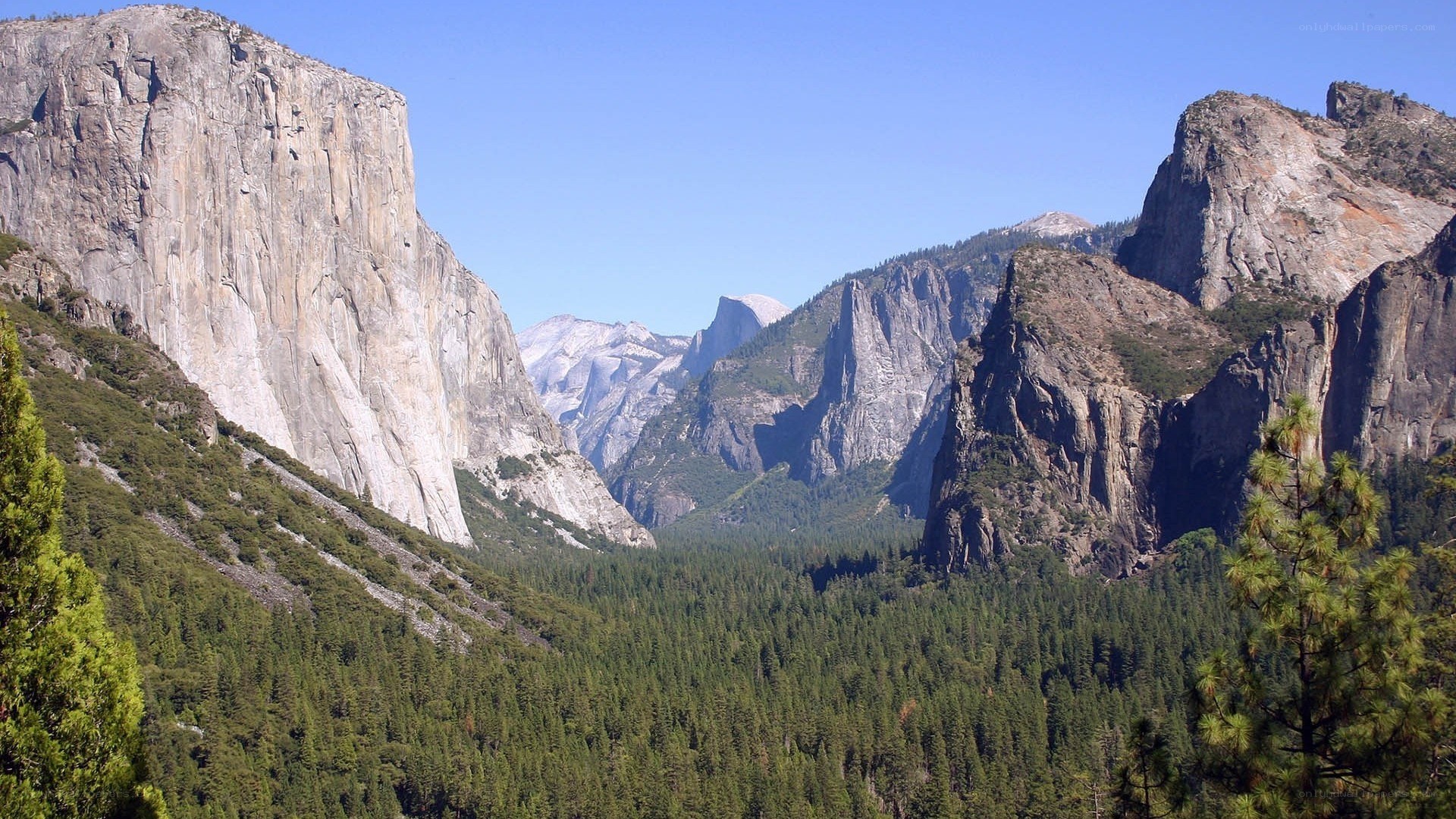 Yosemite Valley landscape