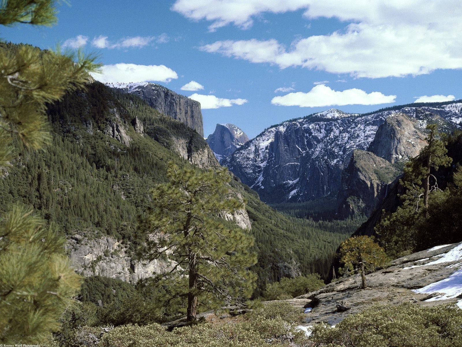 Yosemite Valley landscape