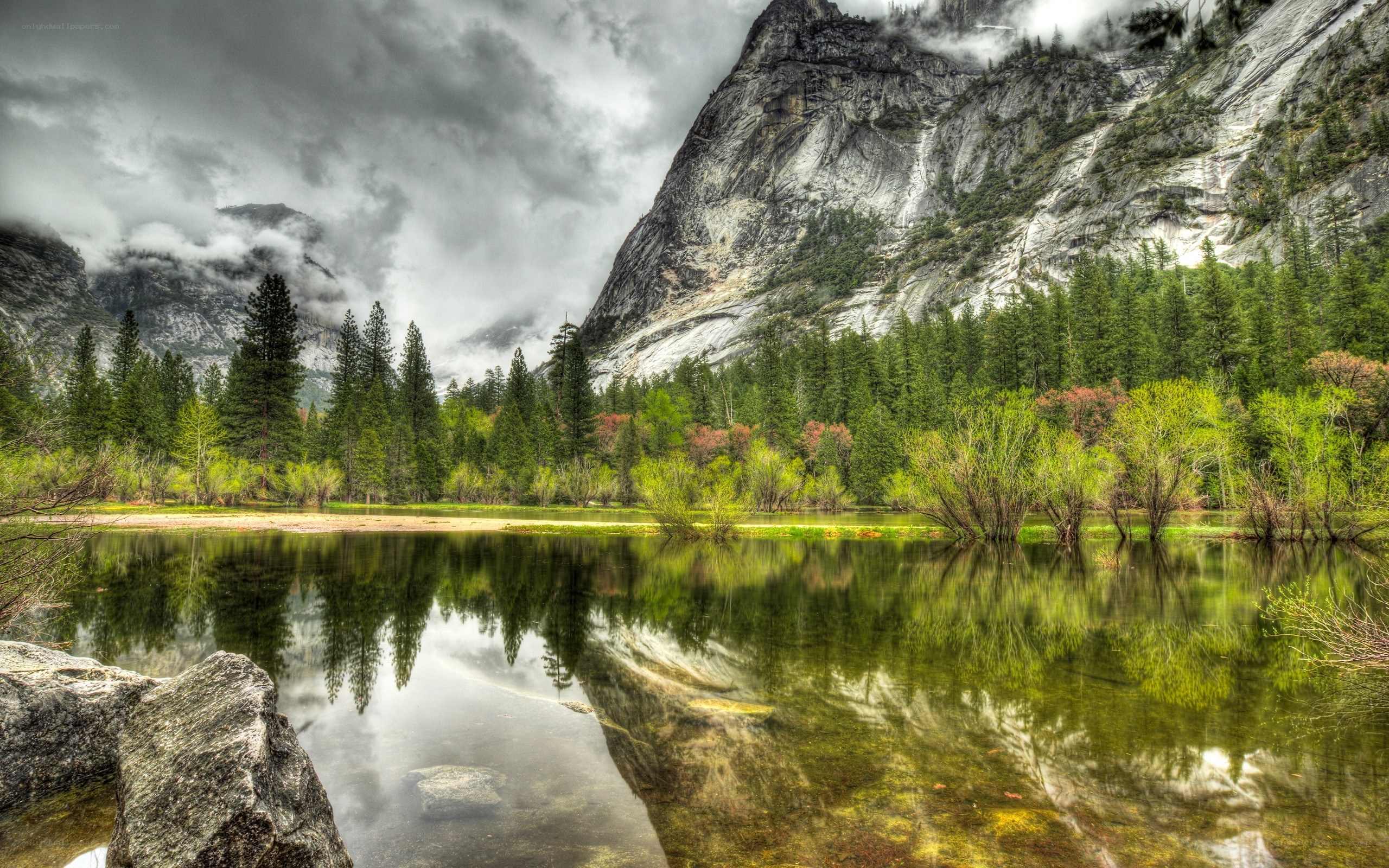 Yosemite valley landscape