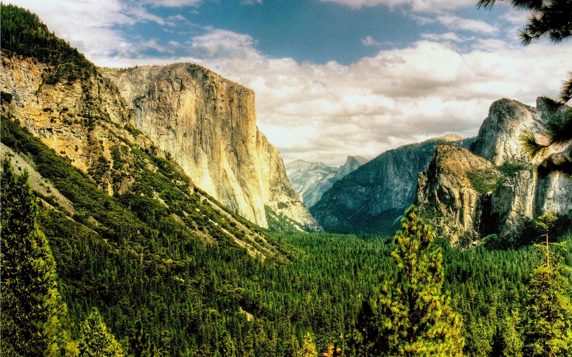 Yosemite Valley landscape
