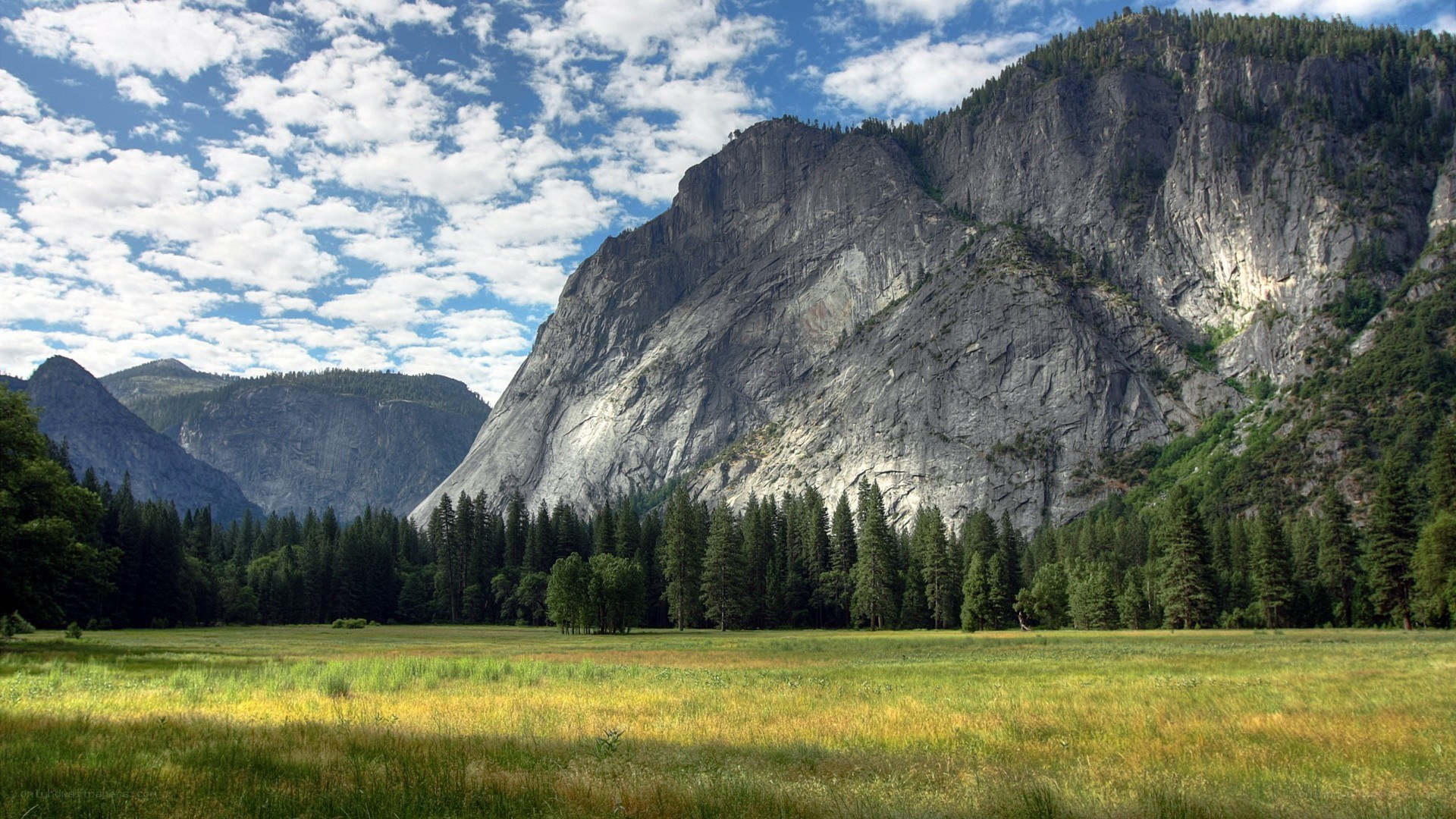 Yosemite valley landscape