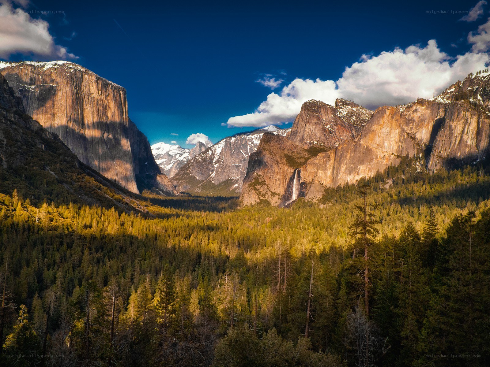Yosemite Valley landscape