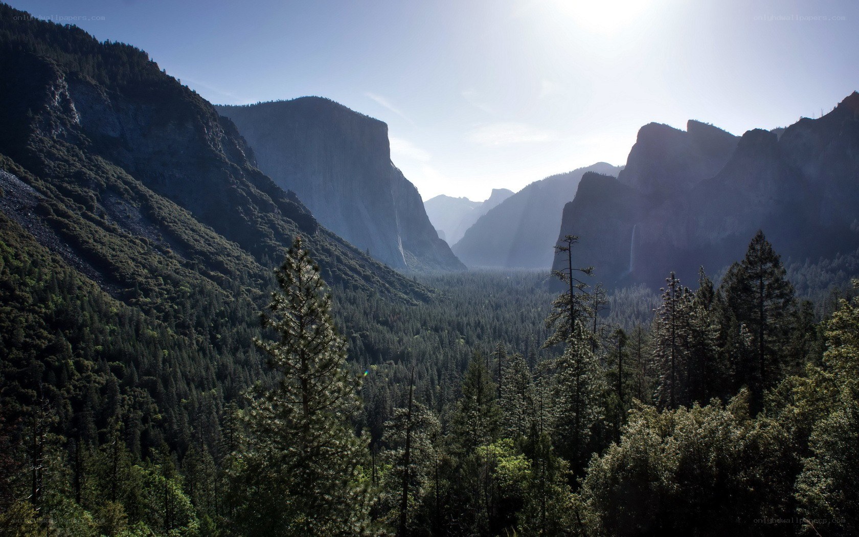 Yosemite Valley landscape