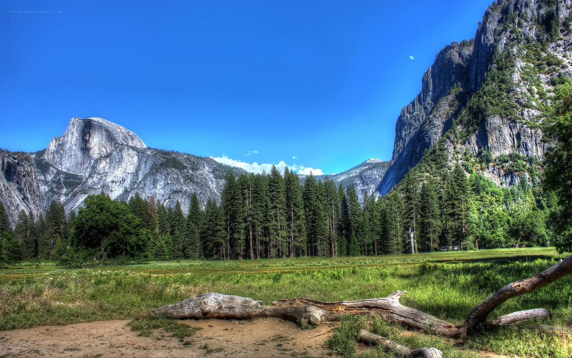 Yosemite Valley landscape