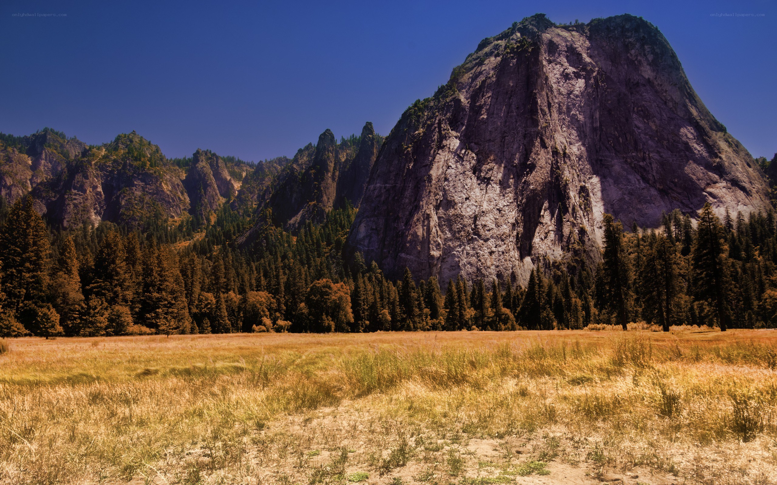 Yosemite valley landscape