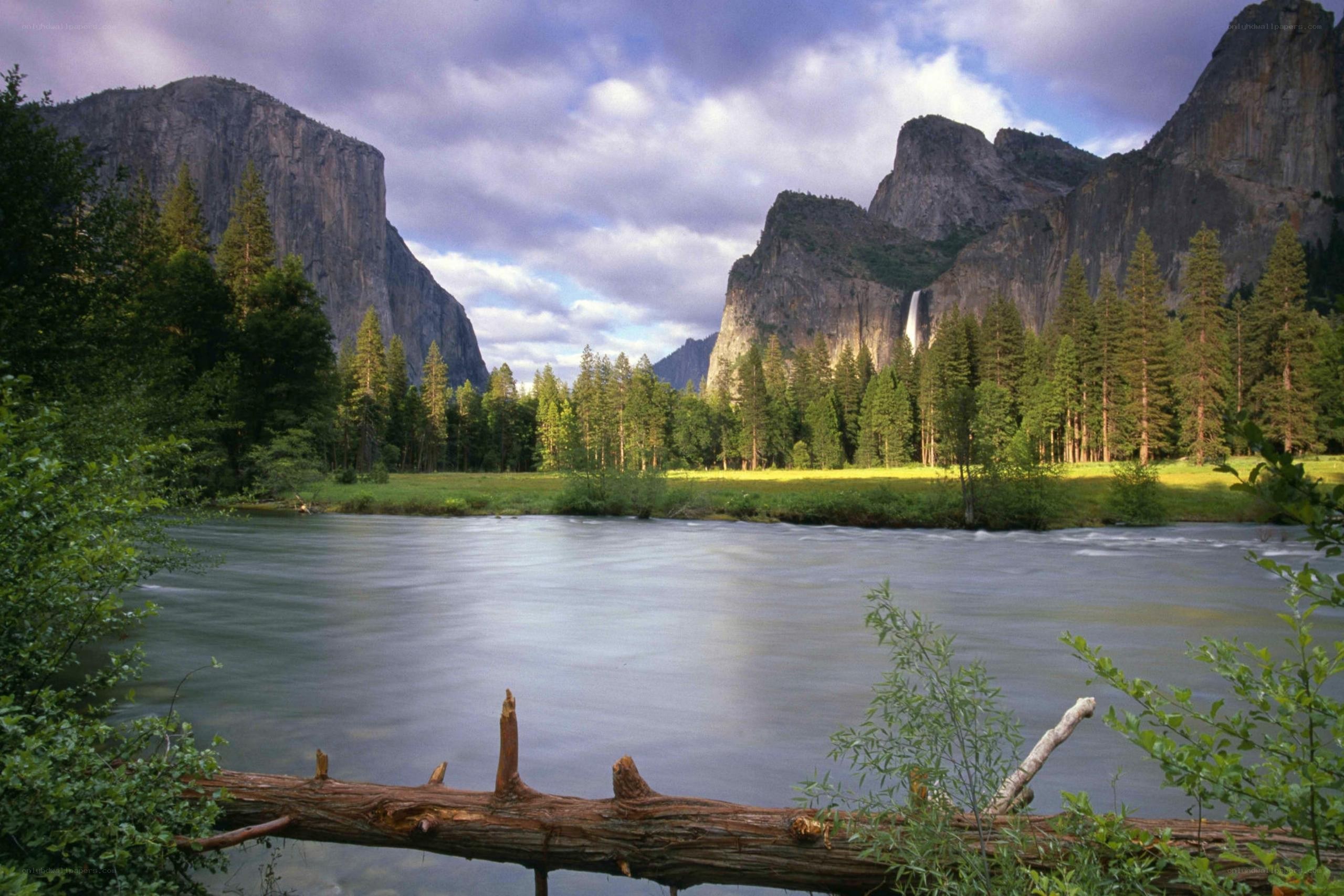 Yosemite Valley landscape