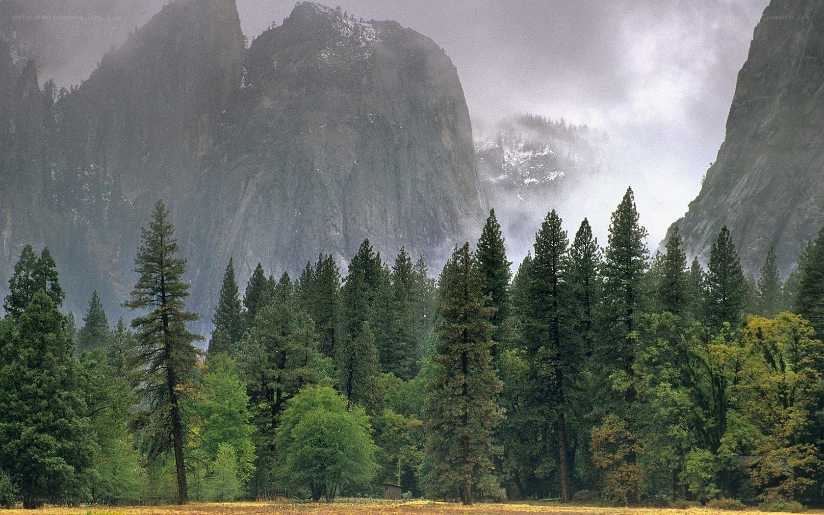 Yosemite valley landscape