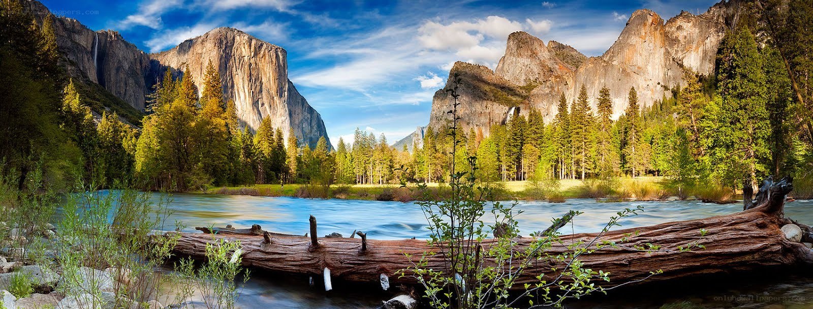 Yosemite Valley landscape