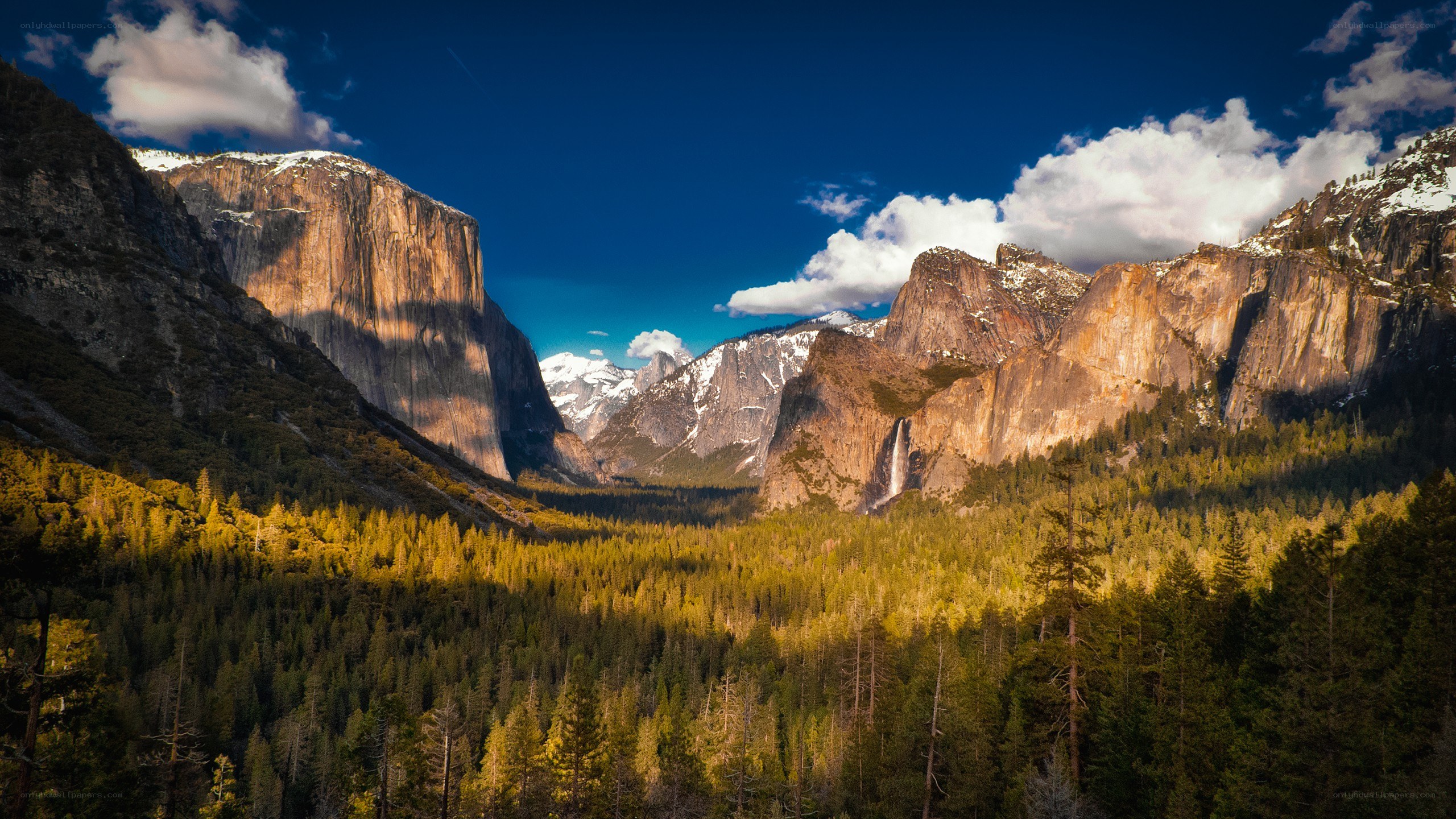 Yosemite Valley landscape