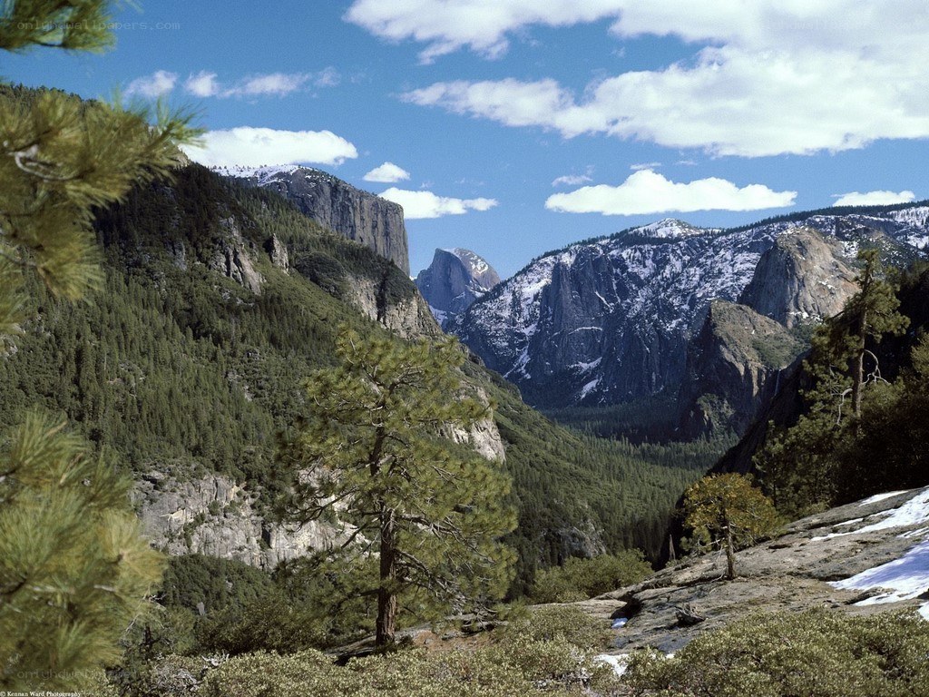 Yosemite Valley landscape