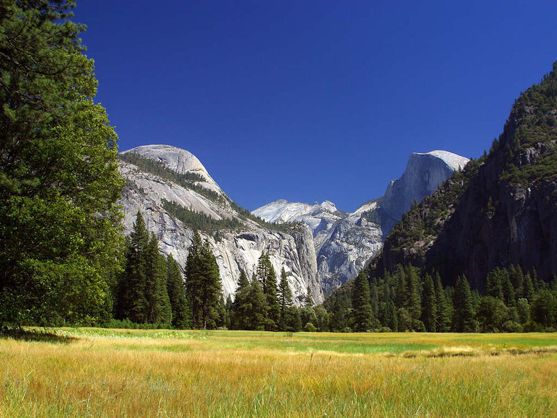 Yosemite Valley landscape