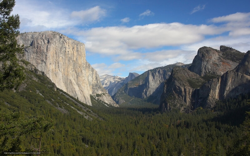 Yosemite Valley Landscape — Green, Serene, Afternoon, Photograph, Mountains, Forests
