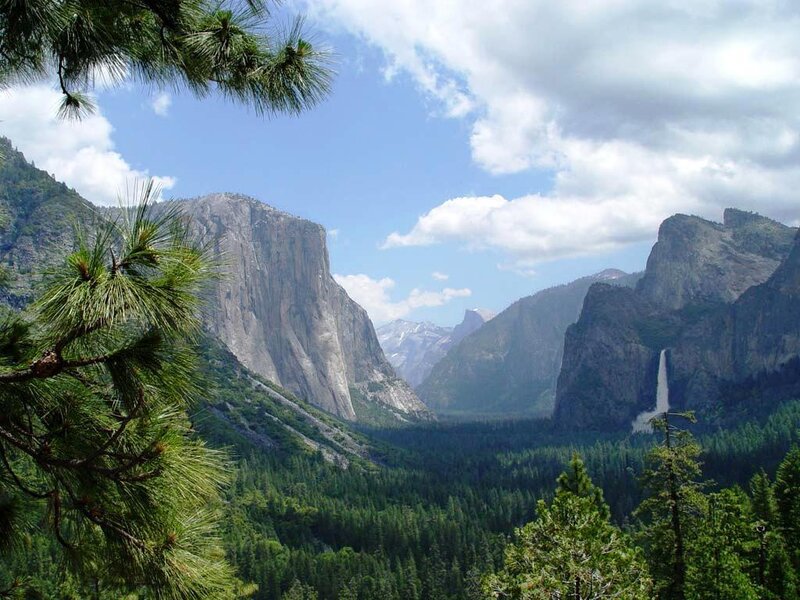 Yosemite Valley Landscape — Green, Serene, Afternoon, Photograph