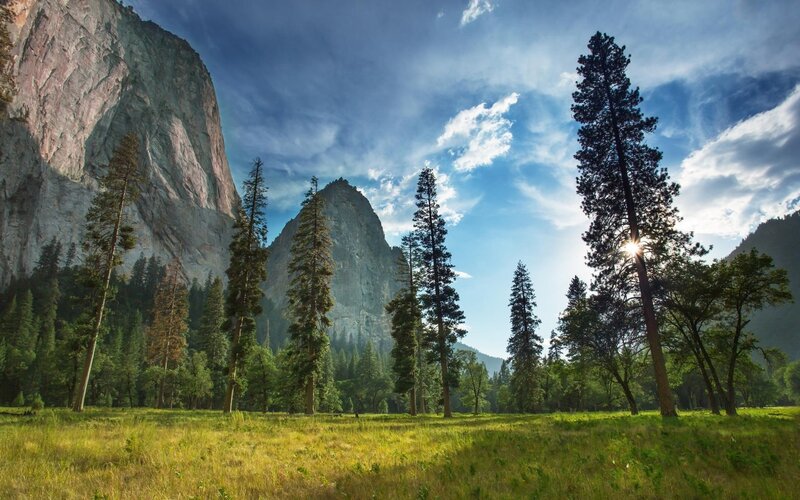 Yosemite Valley Landscape — Green, Serene, Afternoon, Photograph, Trees