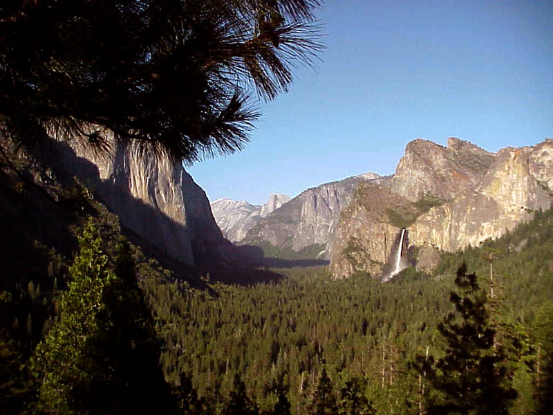 Yosemite Valley Landscape — Green, Serene, Afternoon