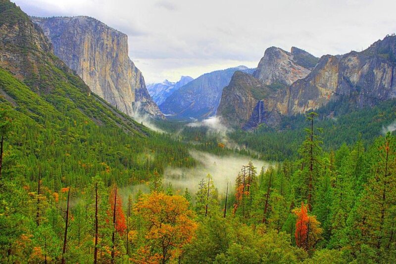 Yosemite Valley Landscape — Green, Serene