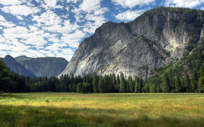 Yosemite Valley meadow