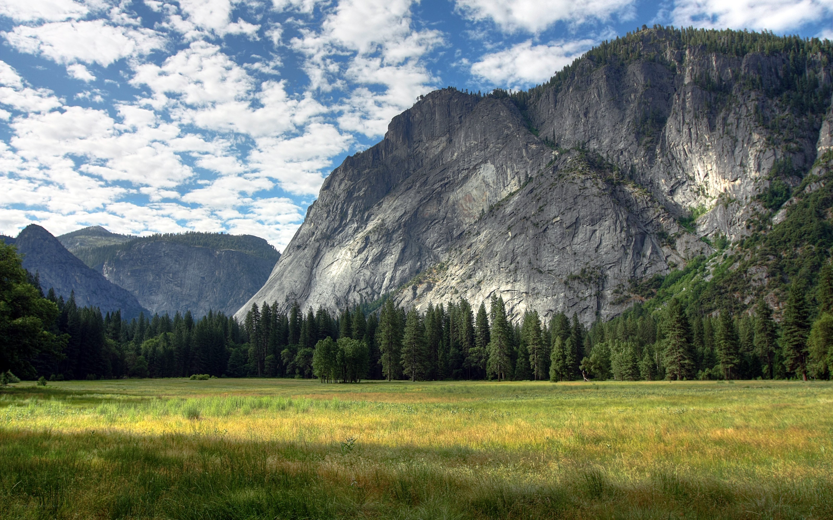 Yosemite Valley meadow