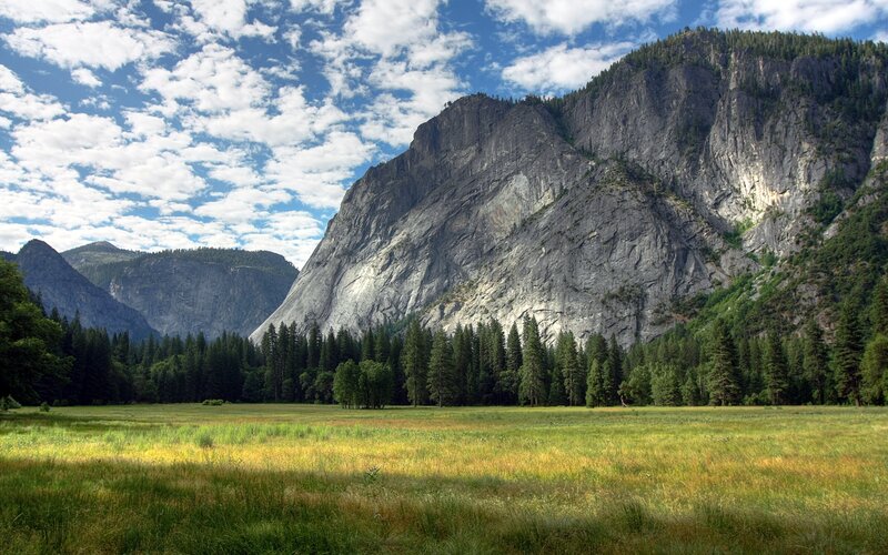 Yosemite Valley Meadow — Green, Serene, Afternoon, Photograph, Mountain, Forest