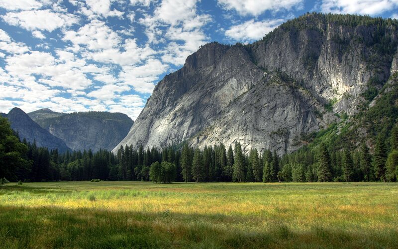 Yosemite Valley Meadow — Green, Serene