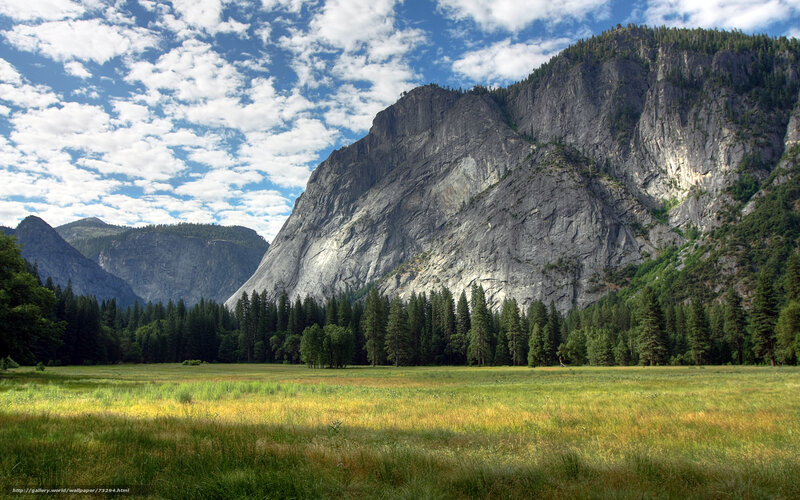 Yosemite Valley meadow