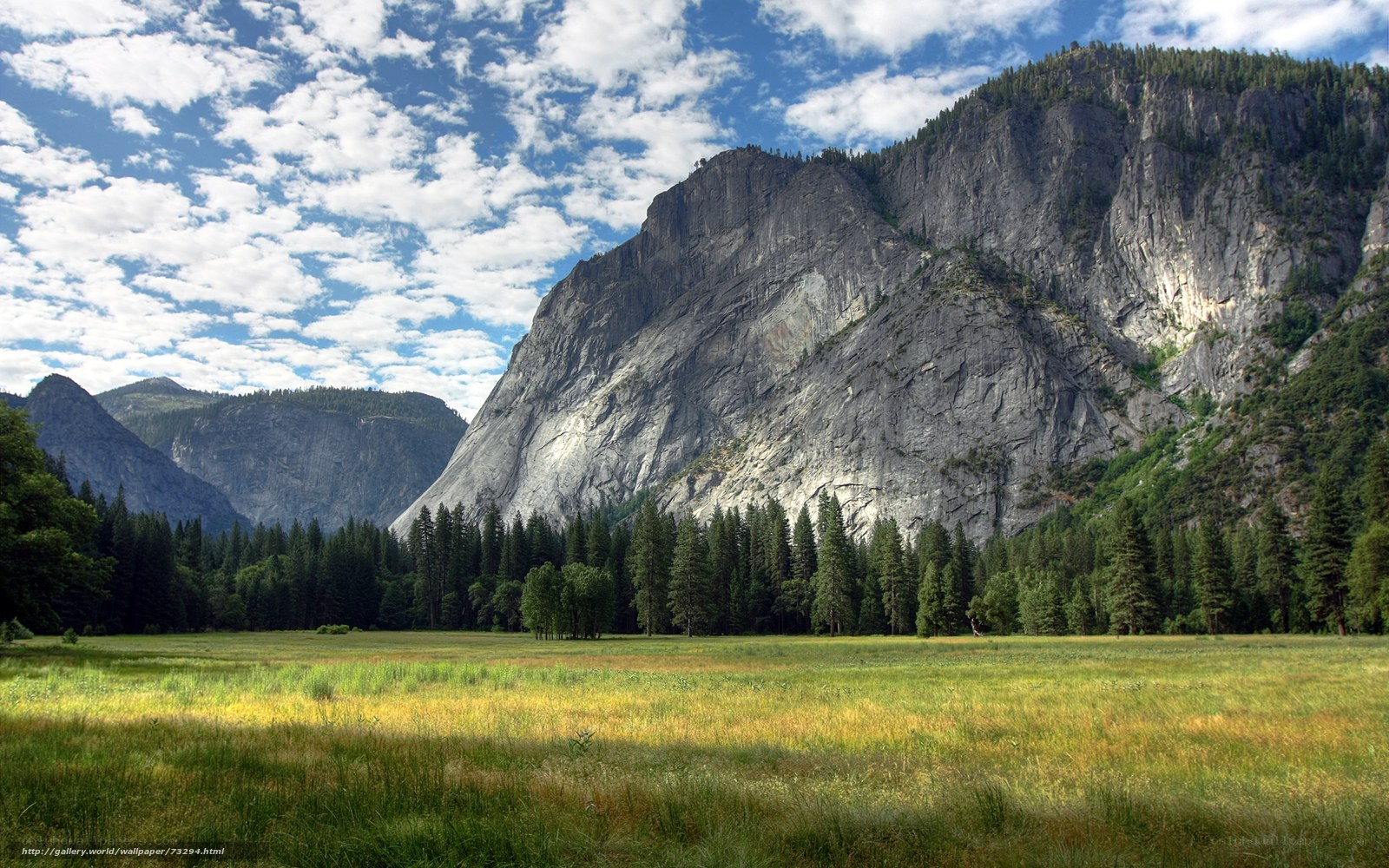 Yosemite Valley meadow