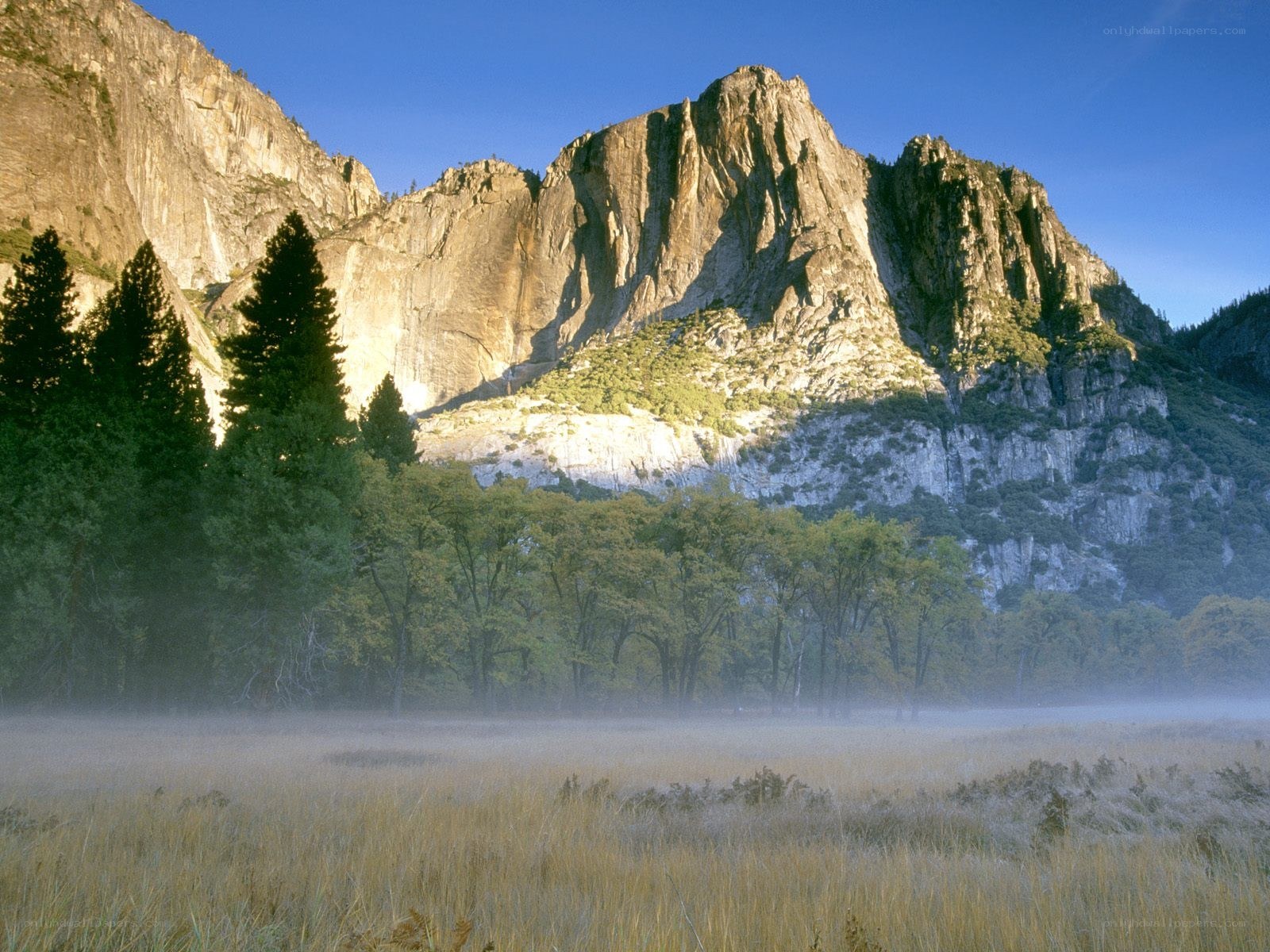 Yosemite Valley morning mist