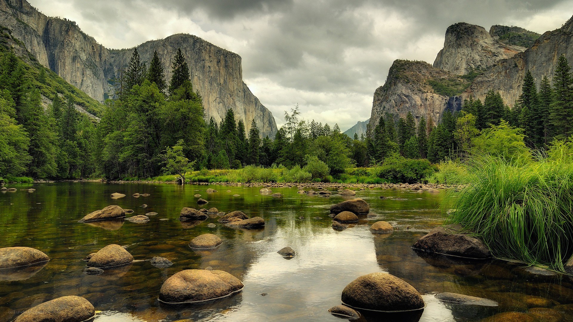 Yosemite valley river scene
