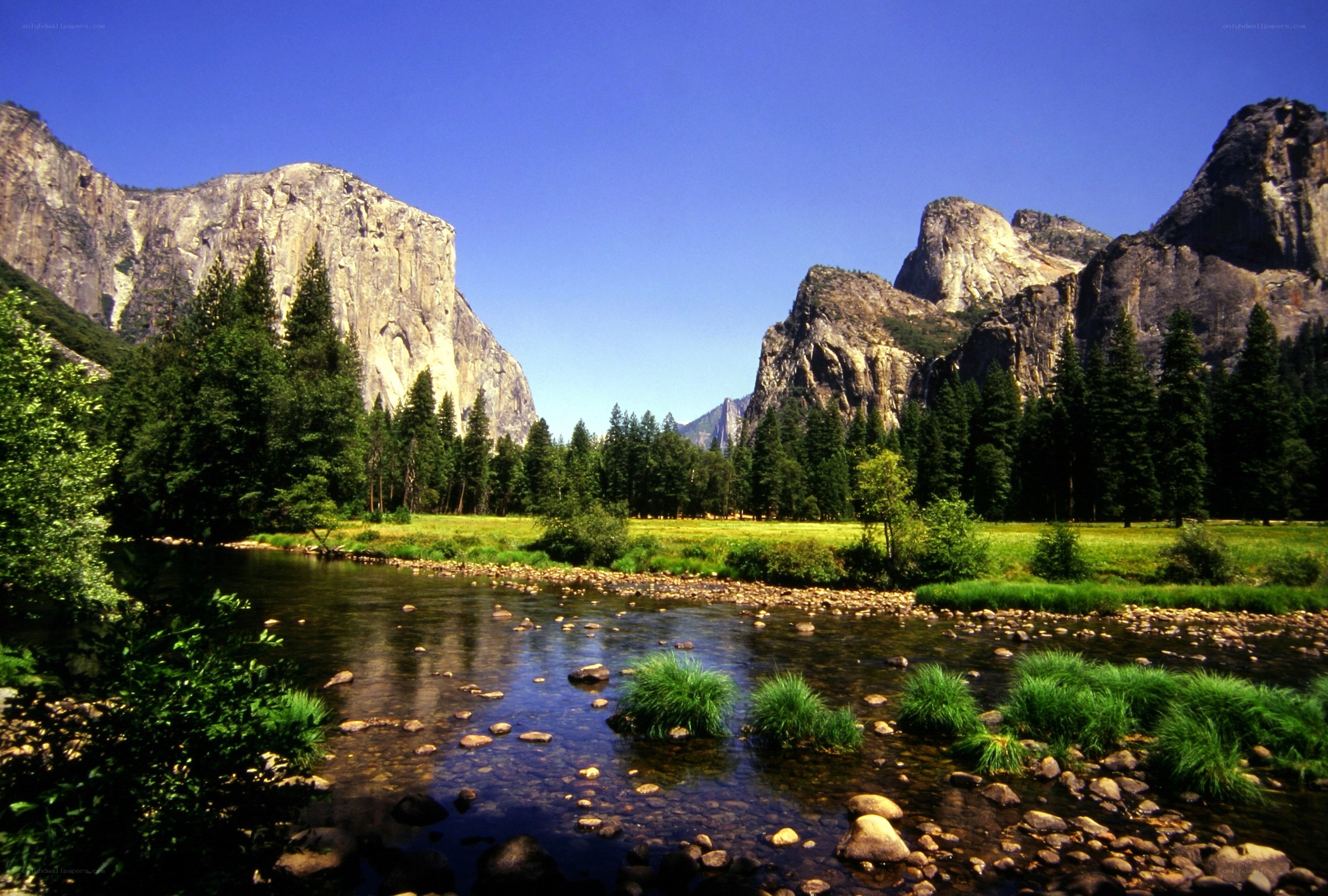 Yosemite Valley river scene