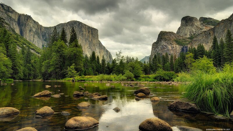 Yosemite valley river scene