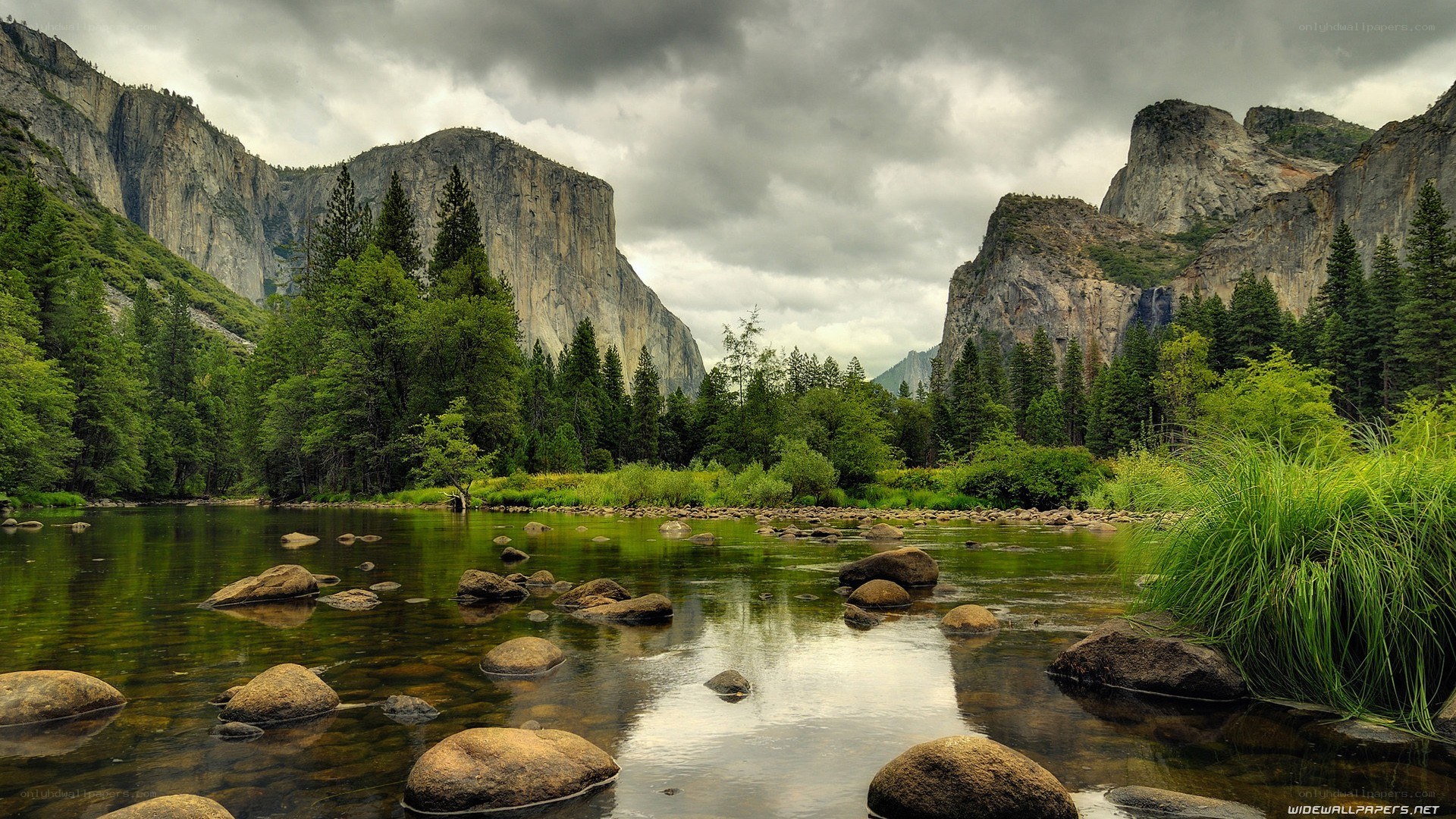 Yosemite valley river scene