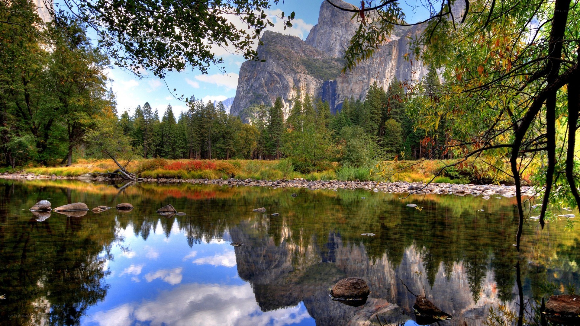 Yosemite valley river scene
