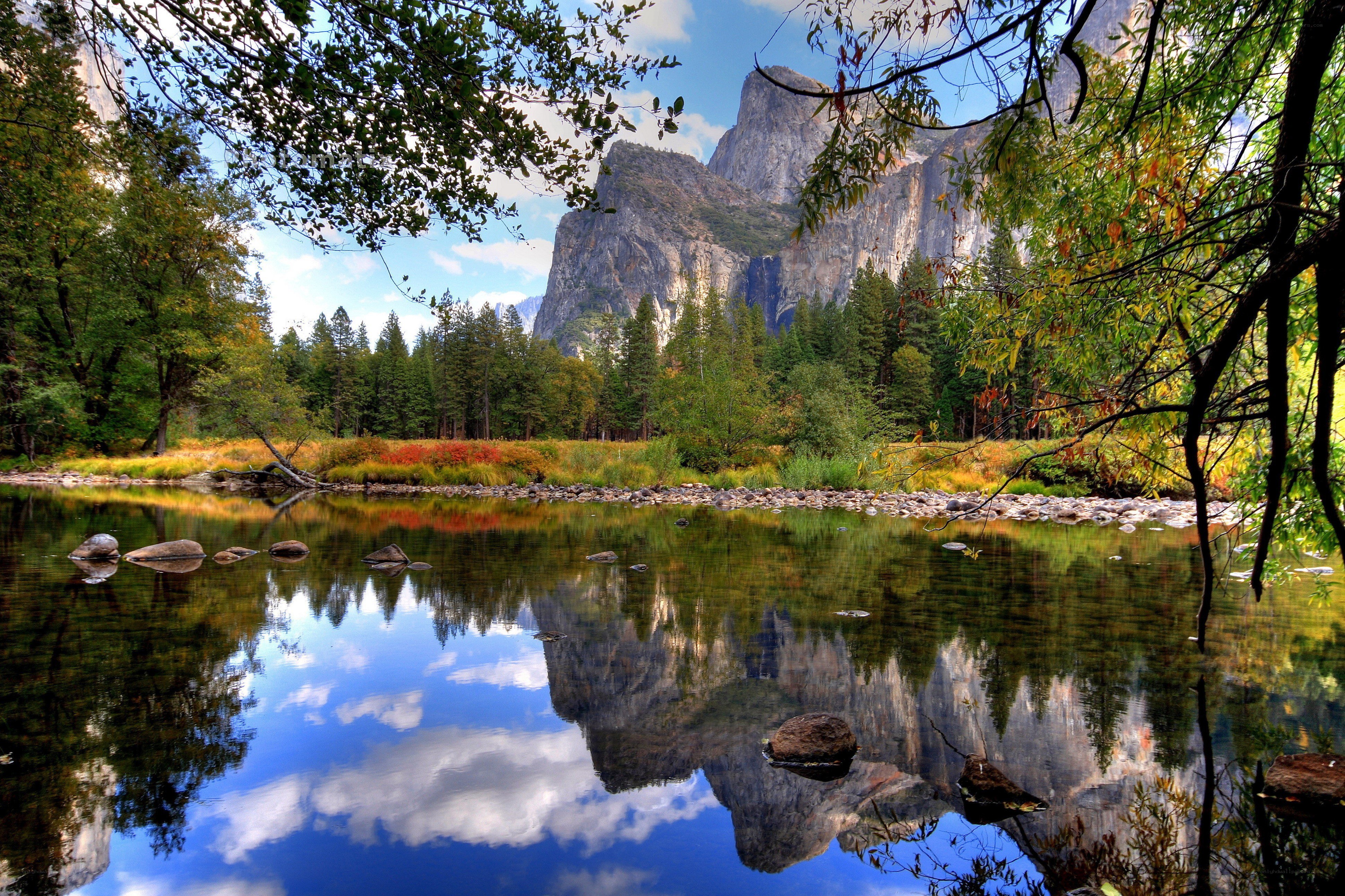 Yosemite valley river scene