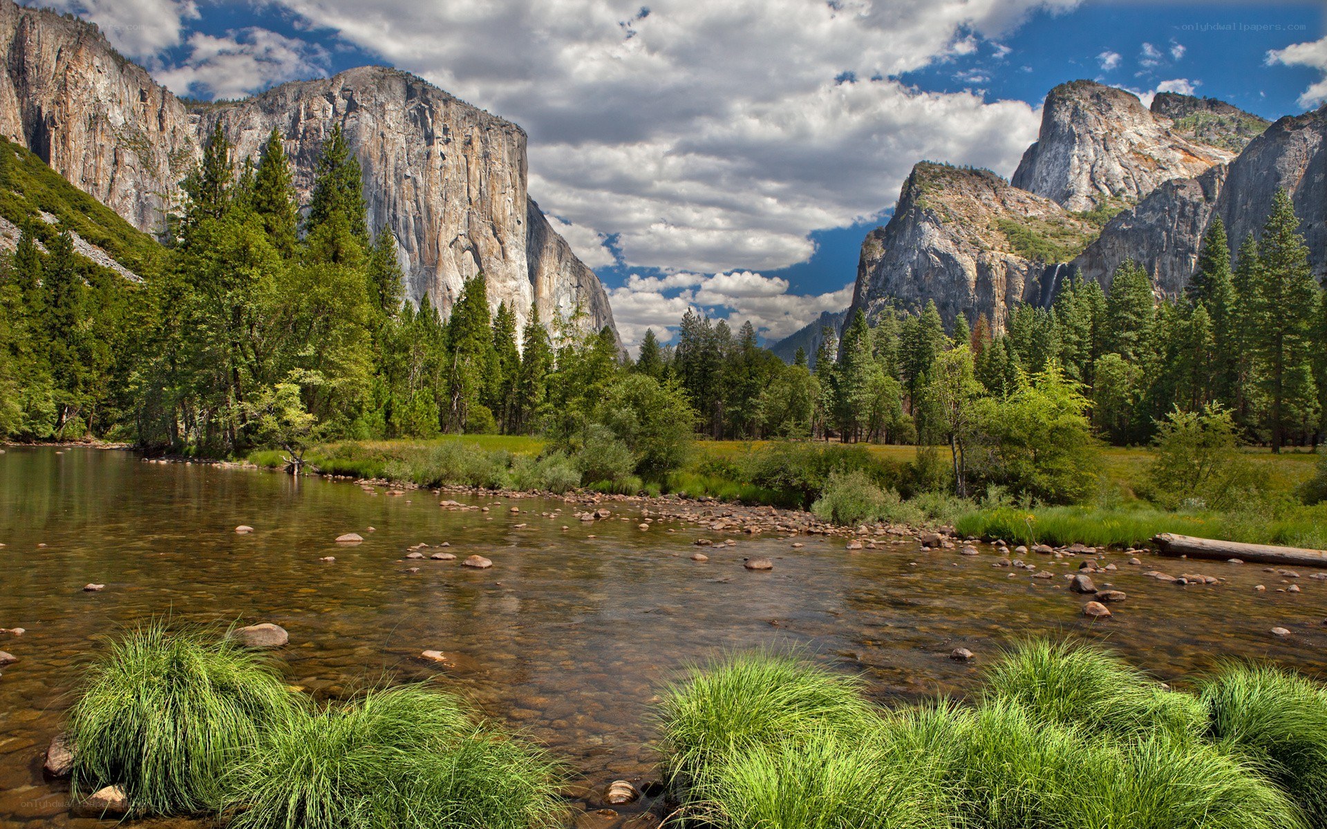 Yosemite Valley river scene