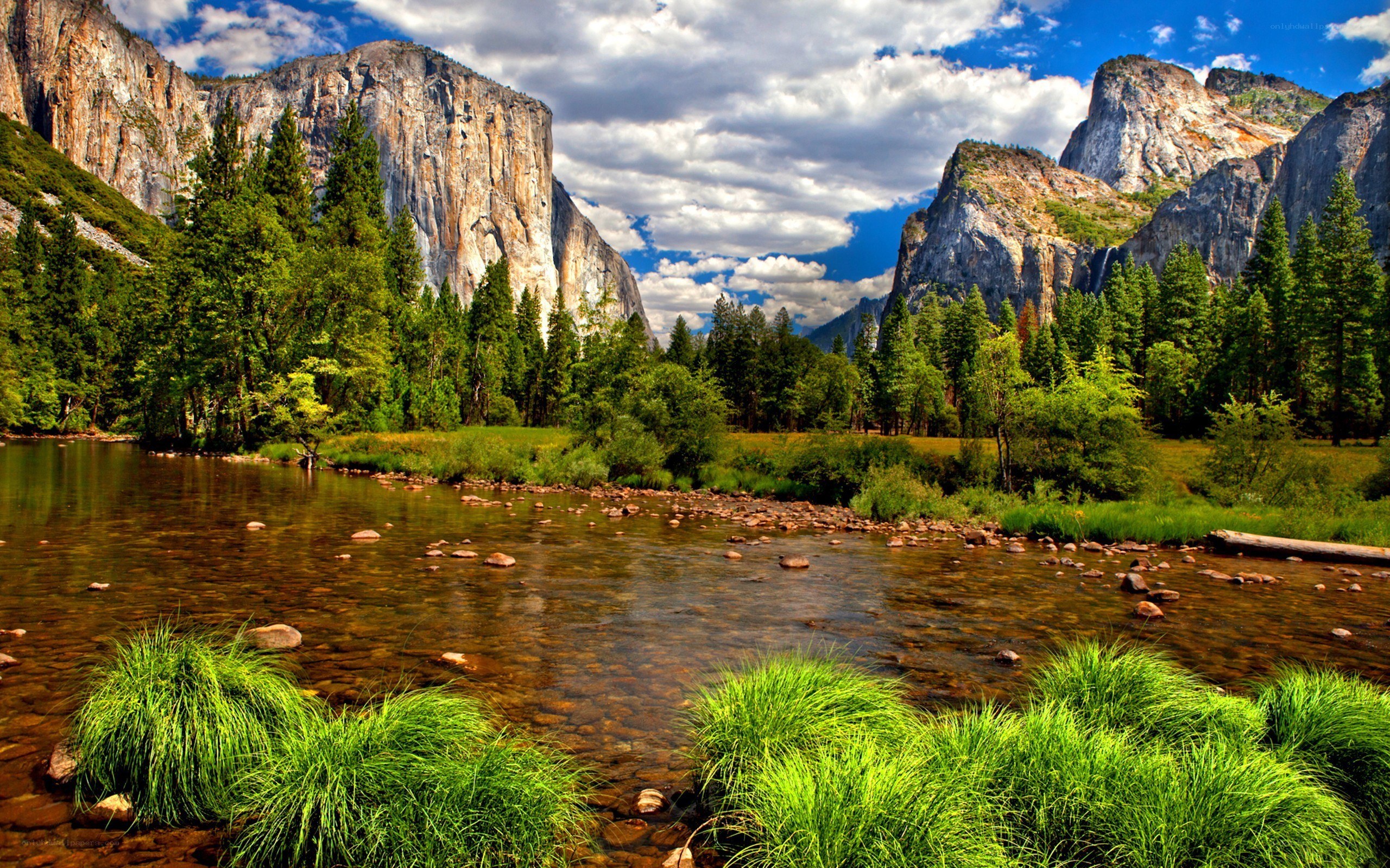 Yosemite Valley river scene