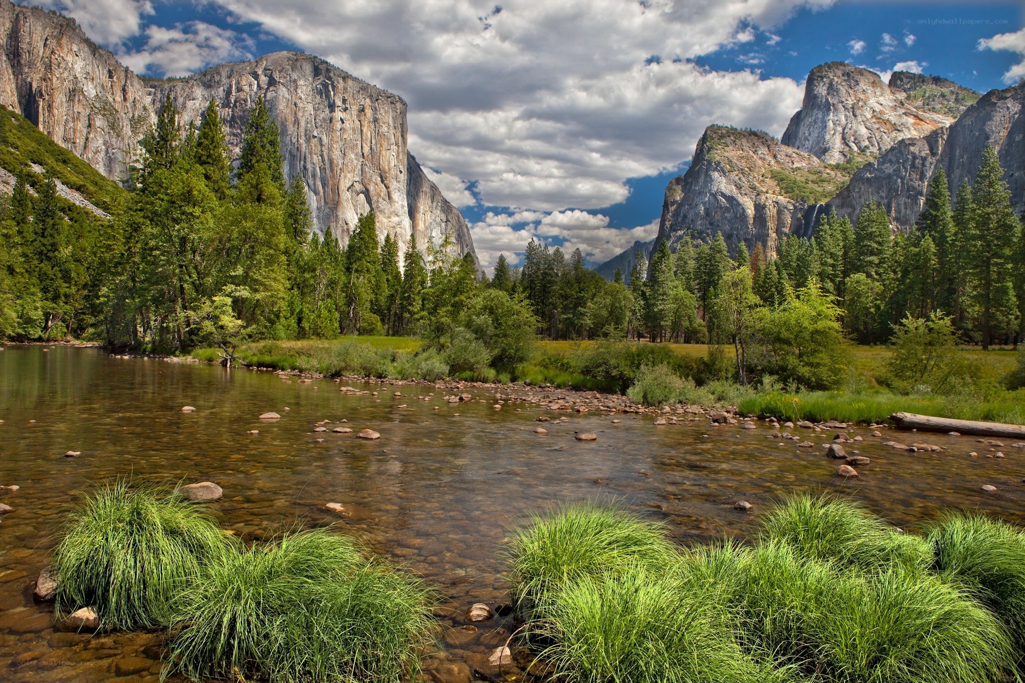 Yosemite Valley river scene