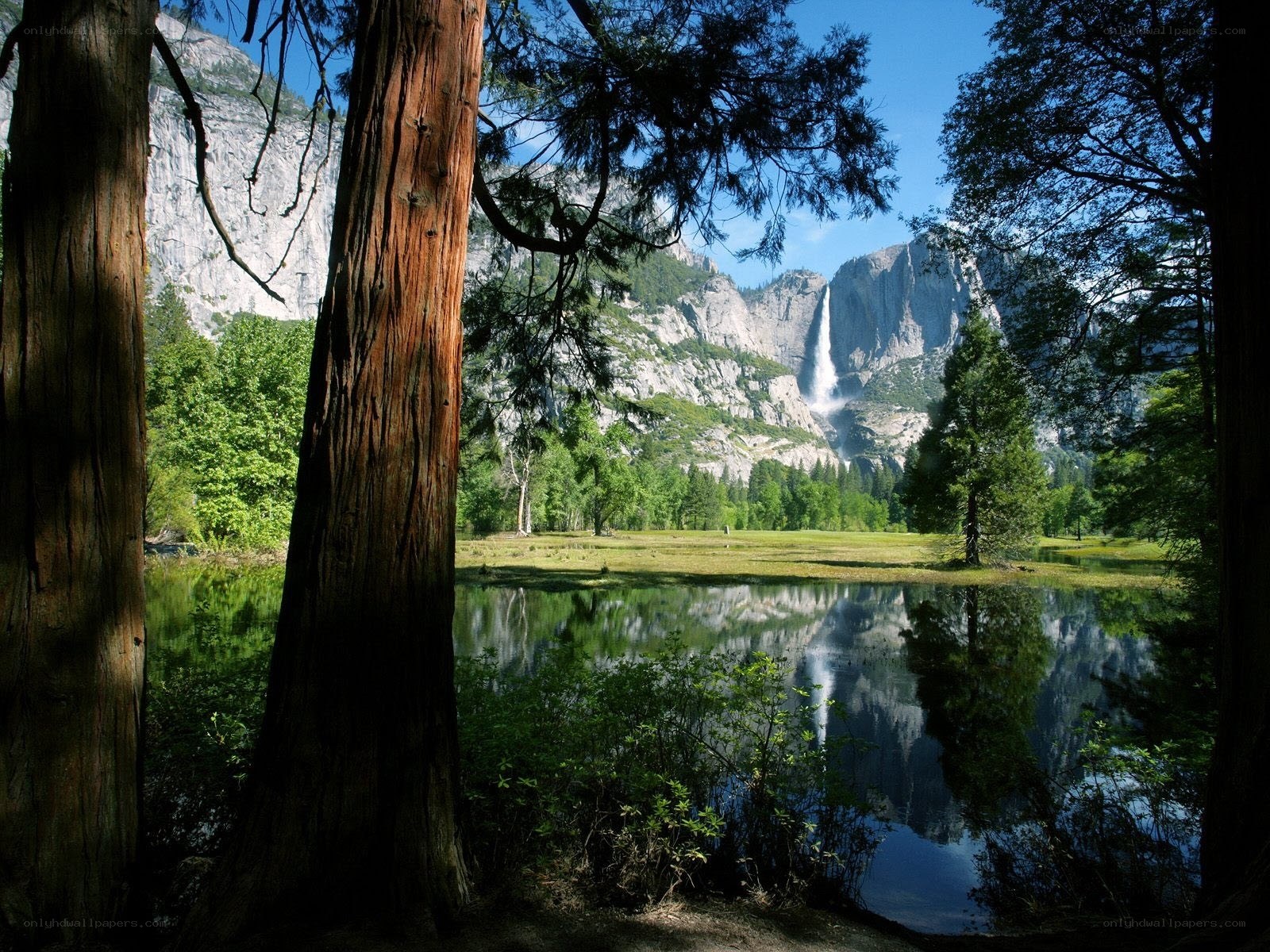 Yosemite waterfall and meadow