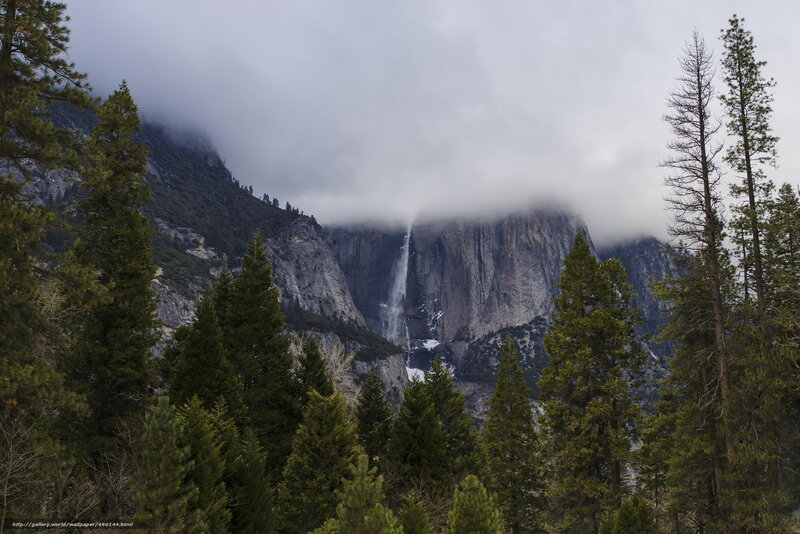 Yosemite waterfall in fog