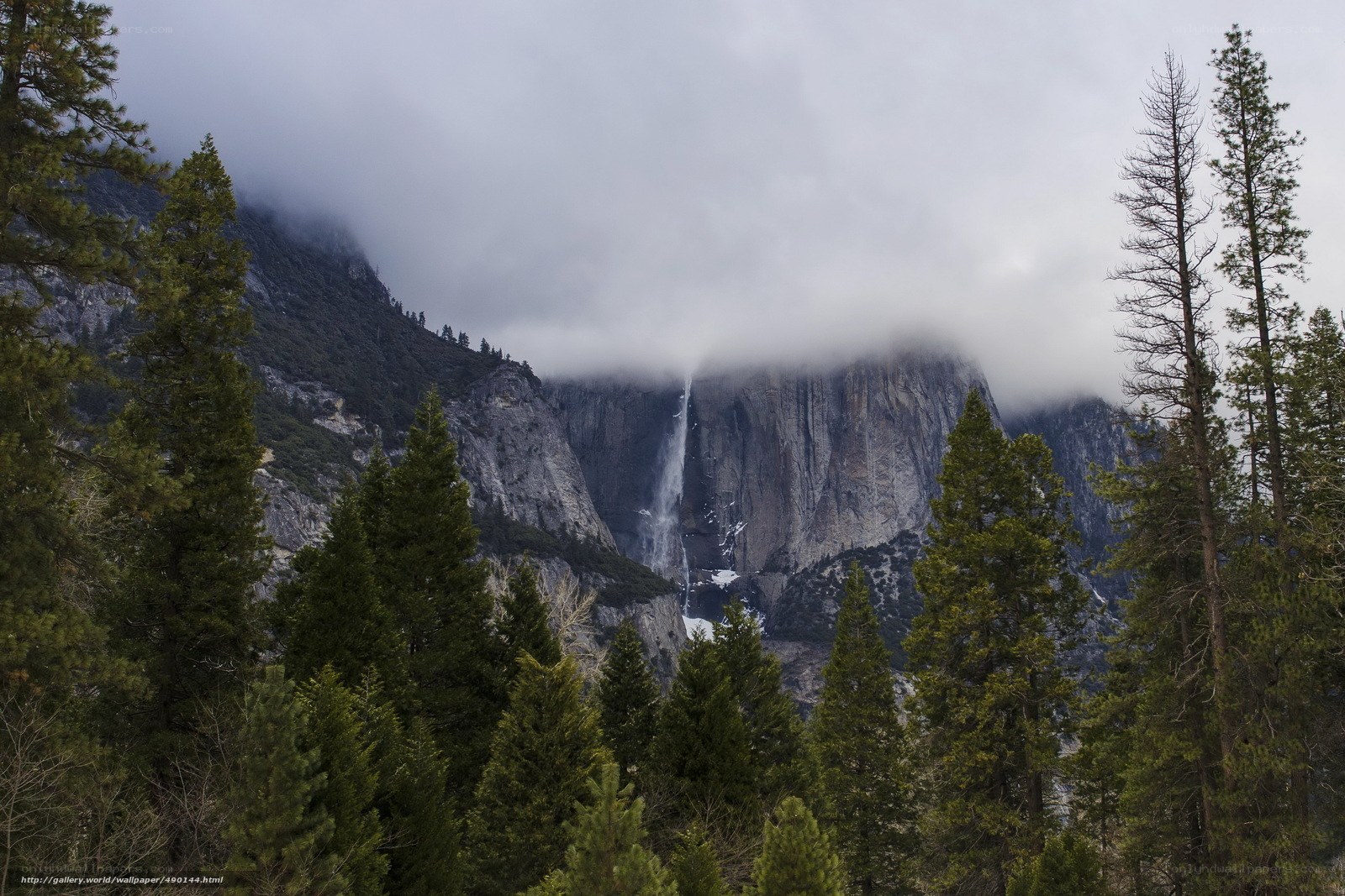 Yosemite waterfall in fog