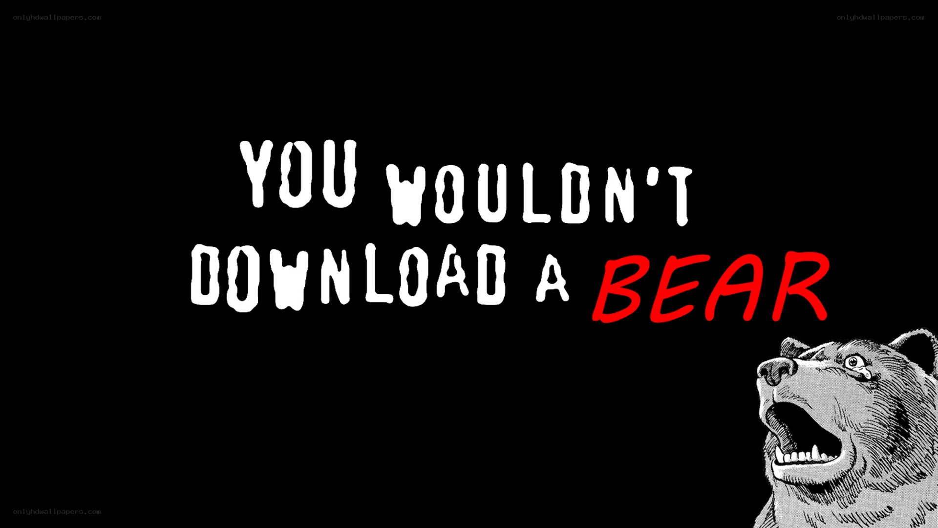 You Wouldn't Download a Bear