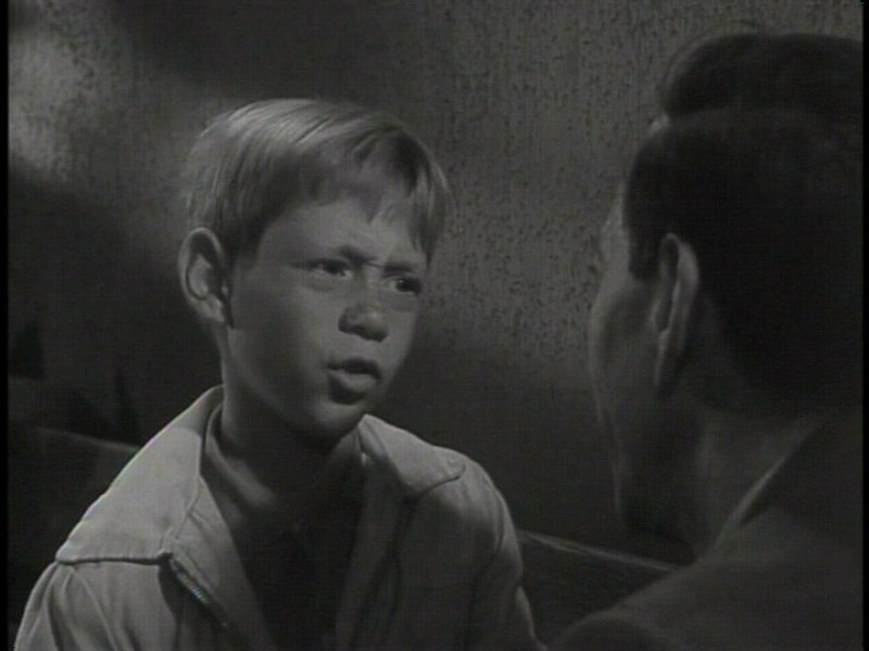 Young Boy in Conversation
