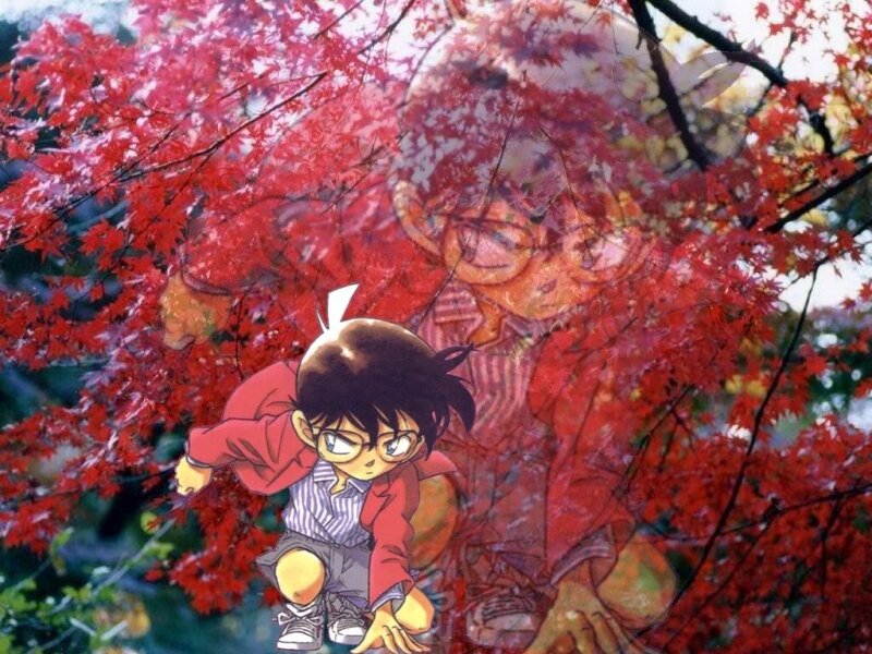 Young Boy in Red Jacket
