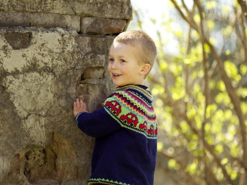 Young Boy in Sweater