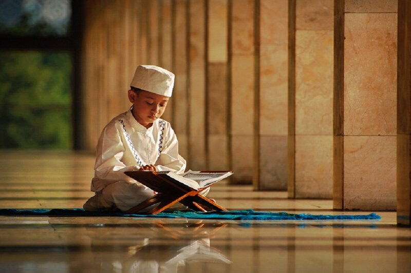 Young Boy Reading Book