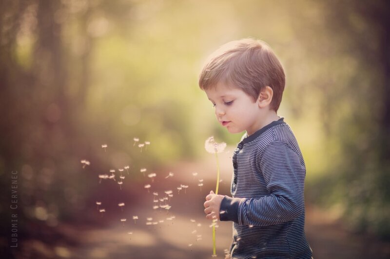 Young Boy with Dandelion