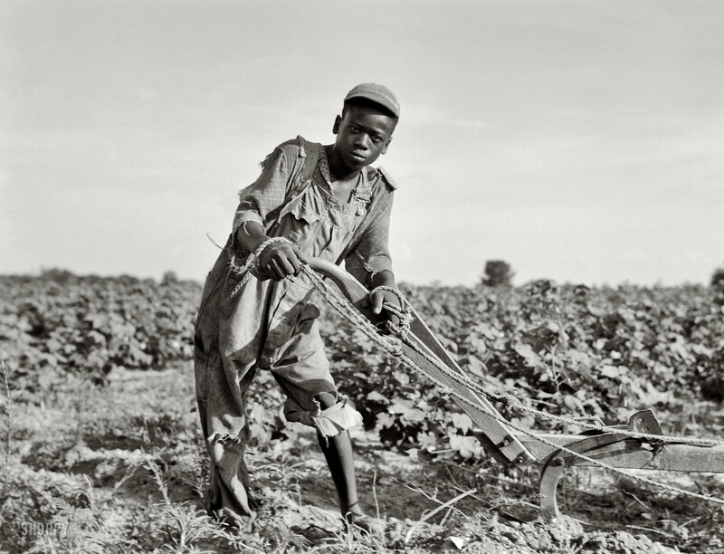 Young boy working in a field